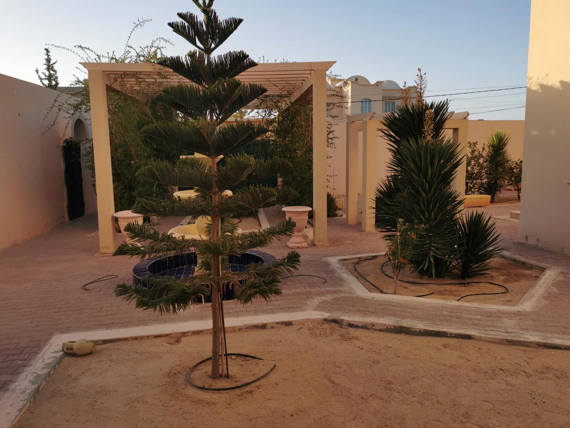 Dar El Bey Apartment Ajim Exterior photo